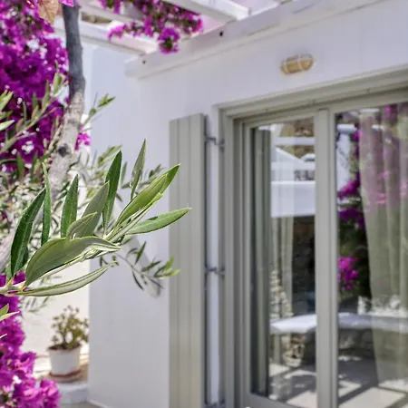 Paolas Sunset 4* アギオス・ステファノス