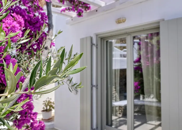 Paolas Sunset 4* Agios Stefanos (Mykonos)